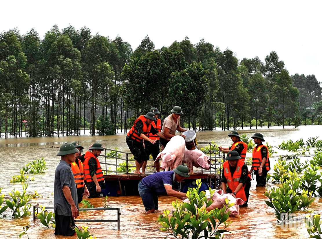 Quân khu 1 chủ động ứng phó mưa lớn, thiên tai trên địa bàn